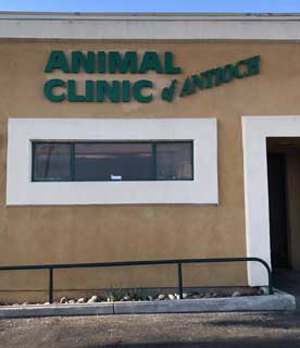 Veterinarian in Antioch, CA - New Clients